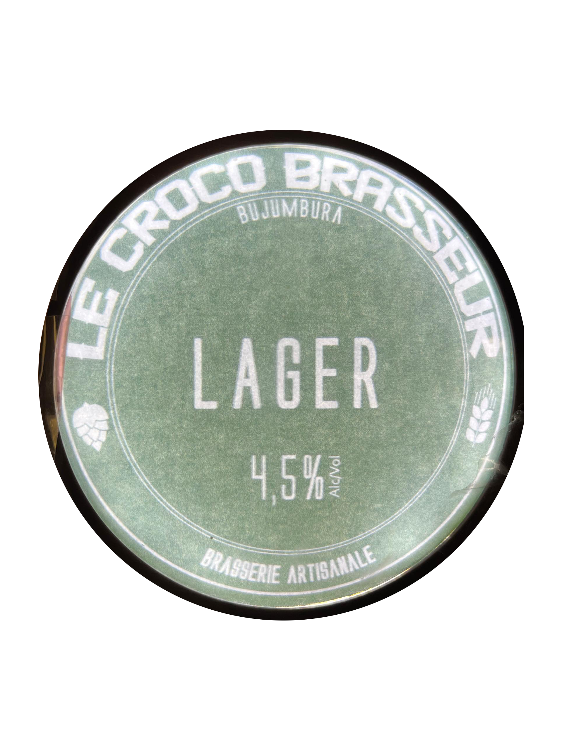 Croco Lager
