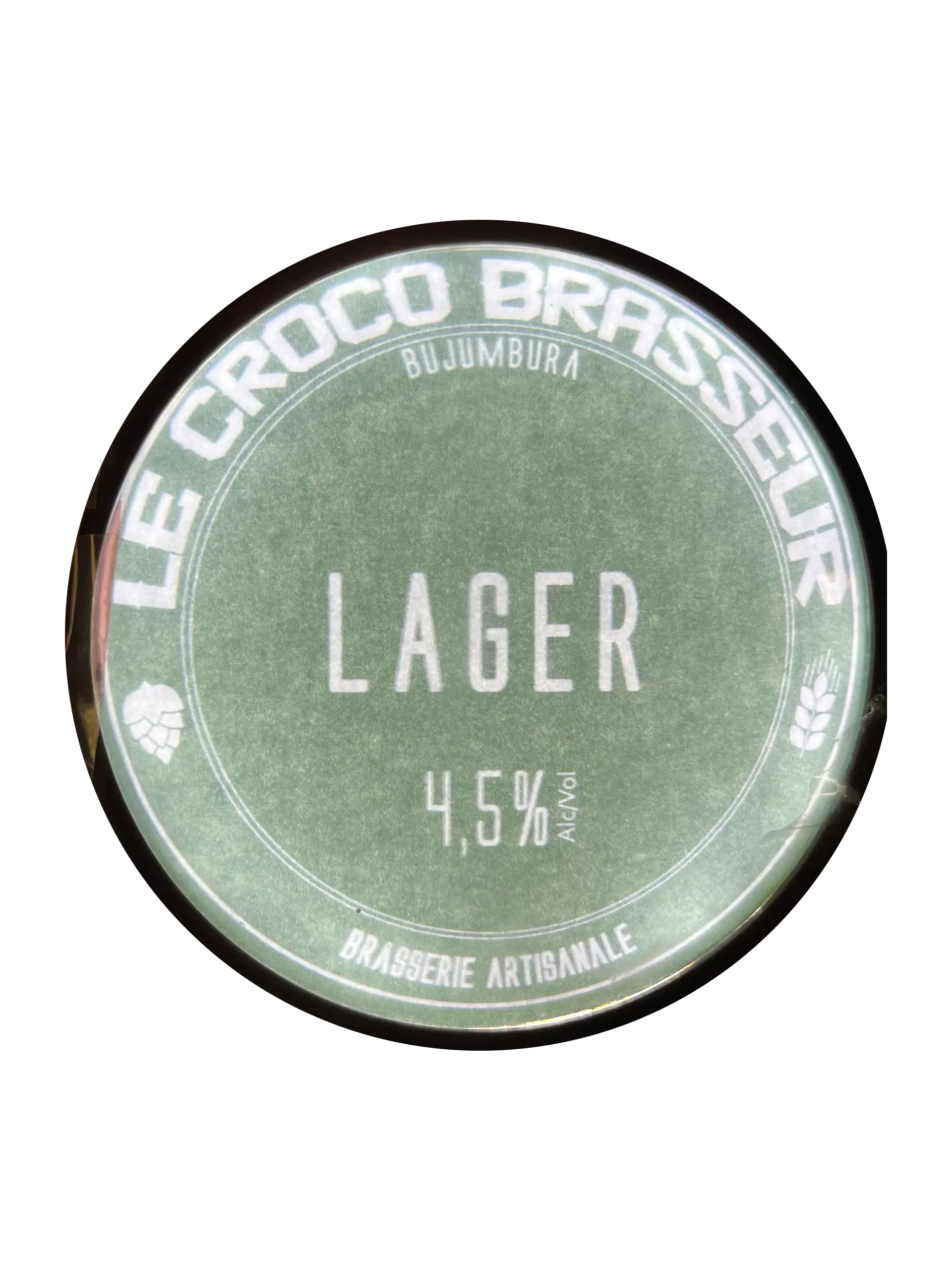 Croco Lager